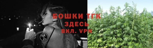 трава Белокуриха