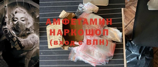 трава Белокуриха