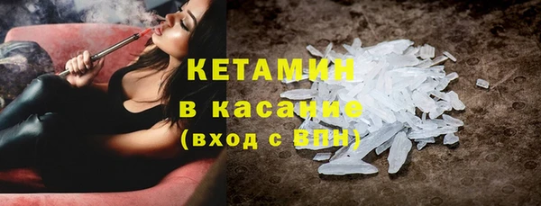 трава Белокуриха