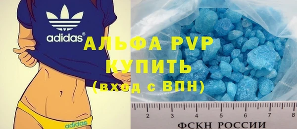 трава Белокуриха